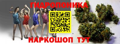 меф Камышлов