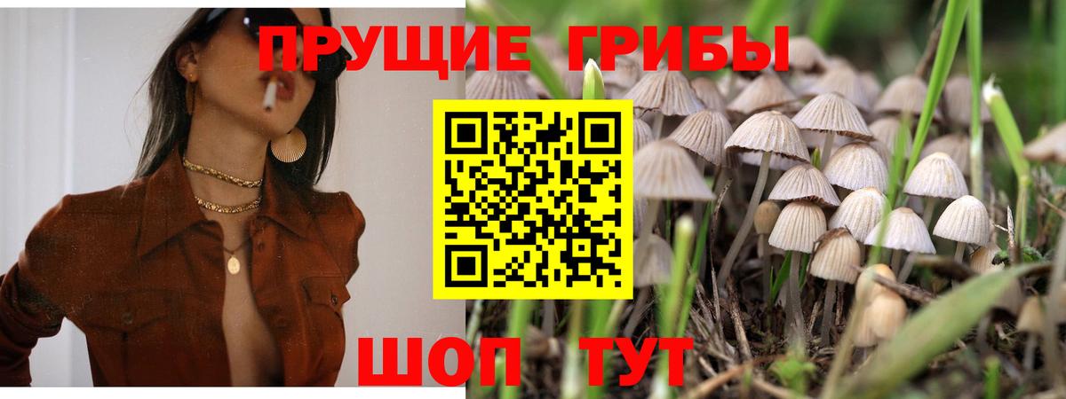 Псилоцибиновые грибы MAGIC MUSHROOMS Джанкой